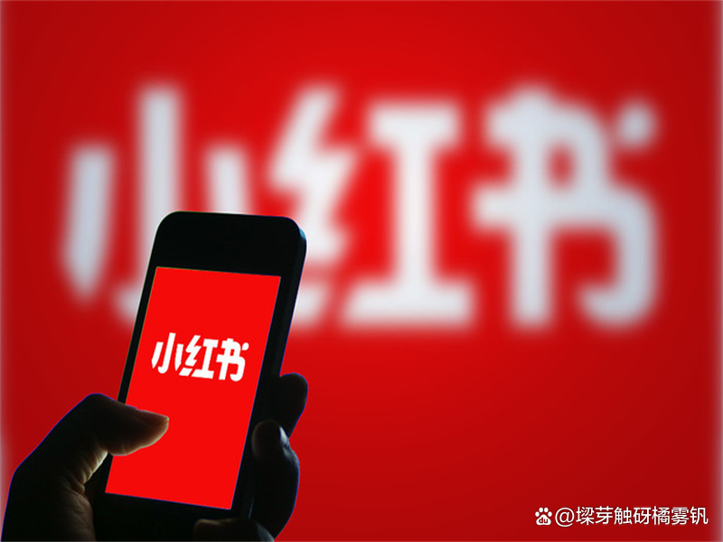 B站粉丝